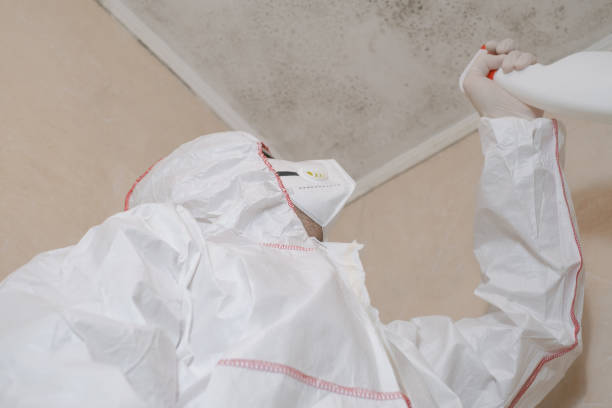 Professional Mold Removal in Greenfield, WI