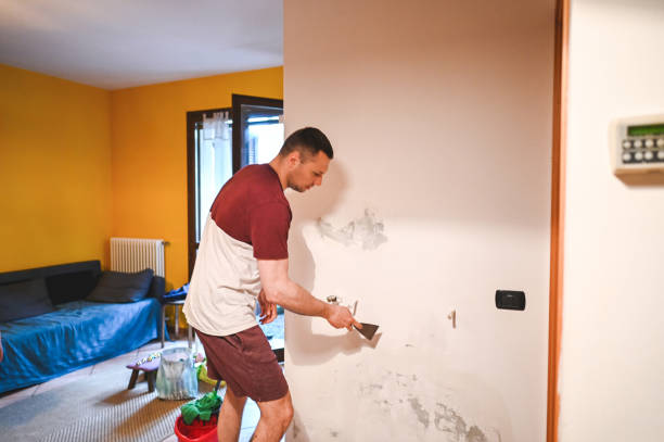 Best Home Mold Removal  in Greenfield, WI